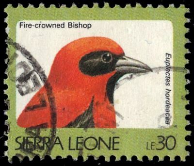 Sierra Leone 1534 - Fire-crowned Bishop "euplectes Hordeacea" (pa93336)