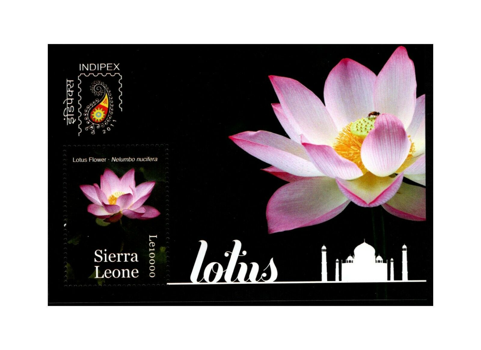 Sierra Leone, Sc #3056, Mnh, 2011, S/s, Flowers, Plants, Flora, Lotus Plant